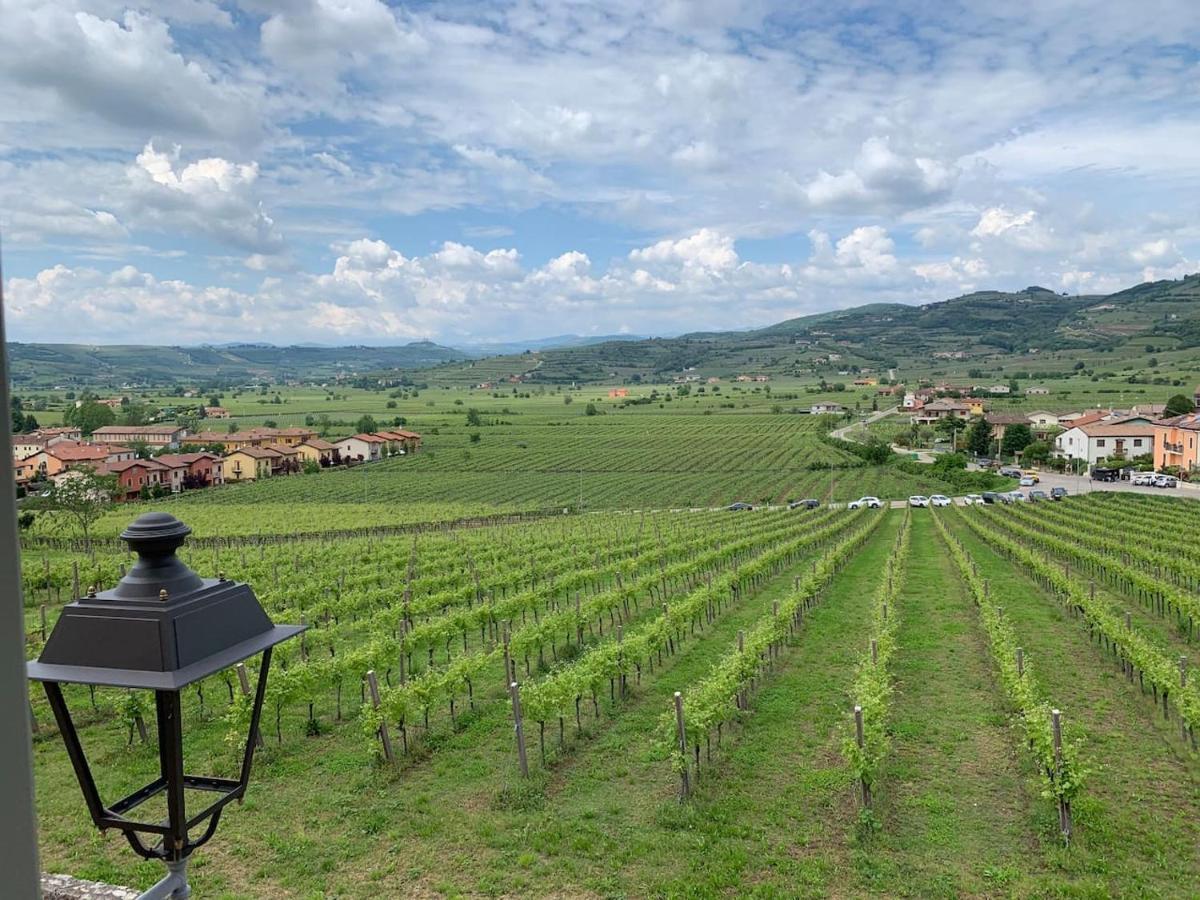 Soave House Alle Vigne-2-Luxury Stay מראה חיצוני תמונה